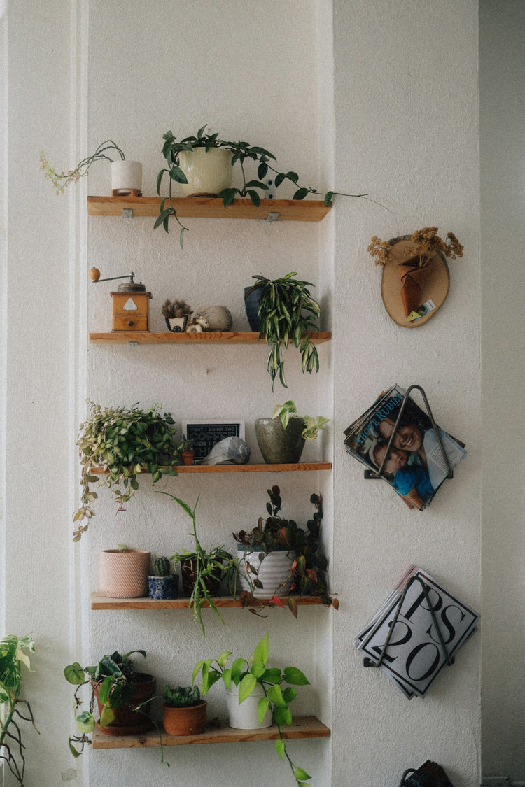 Home Decor at Sennfield