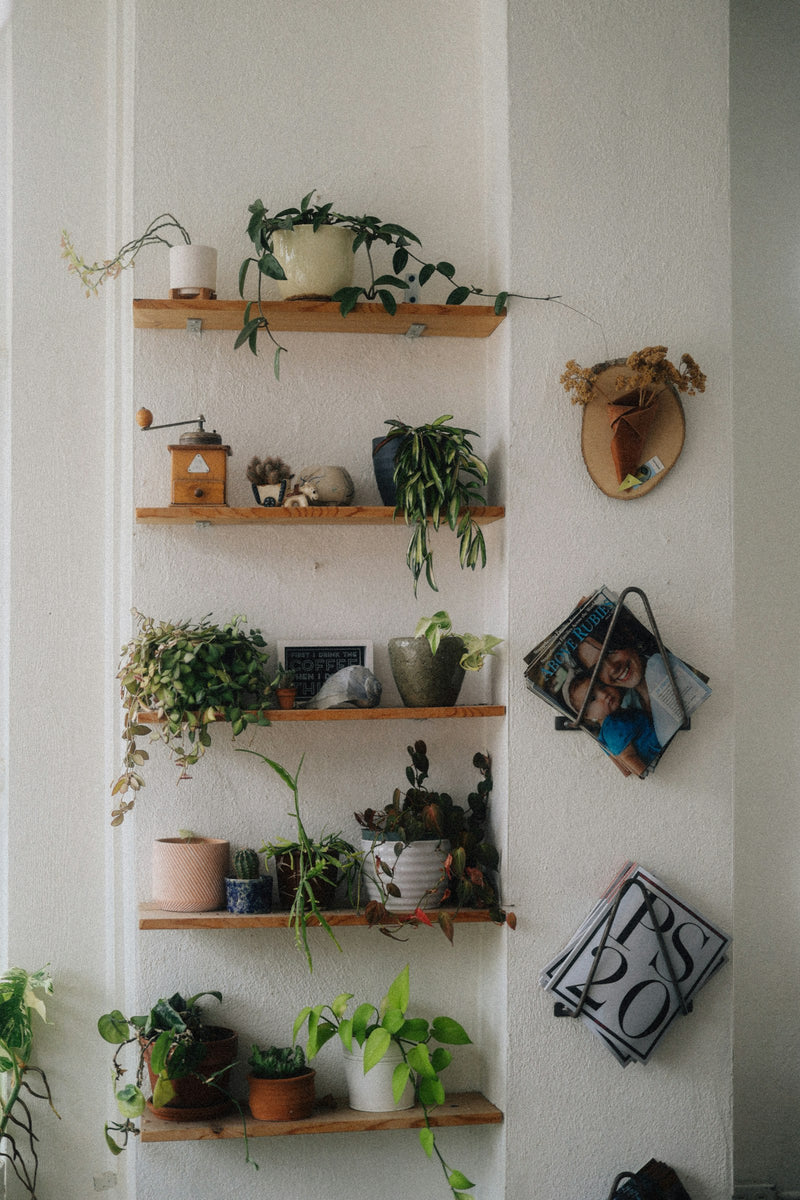 Home Decor shop by room